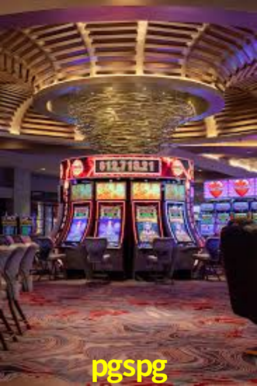 Interface Premium pgspg